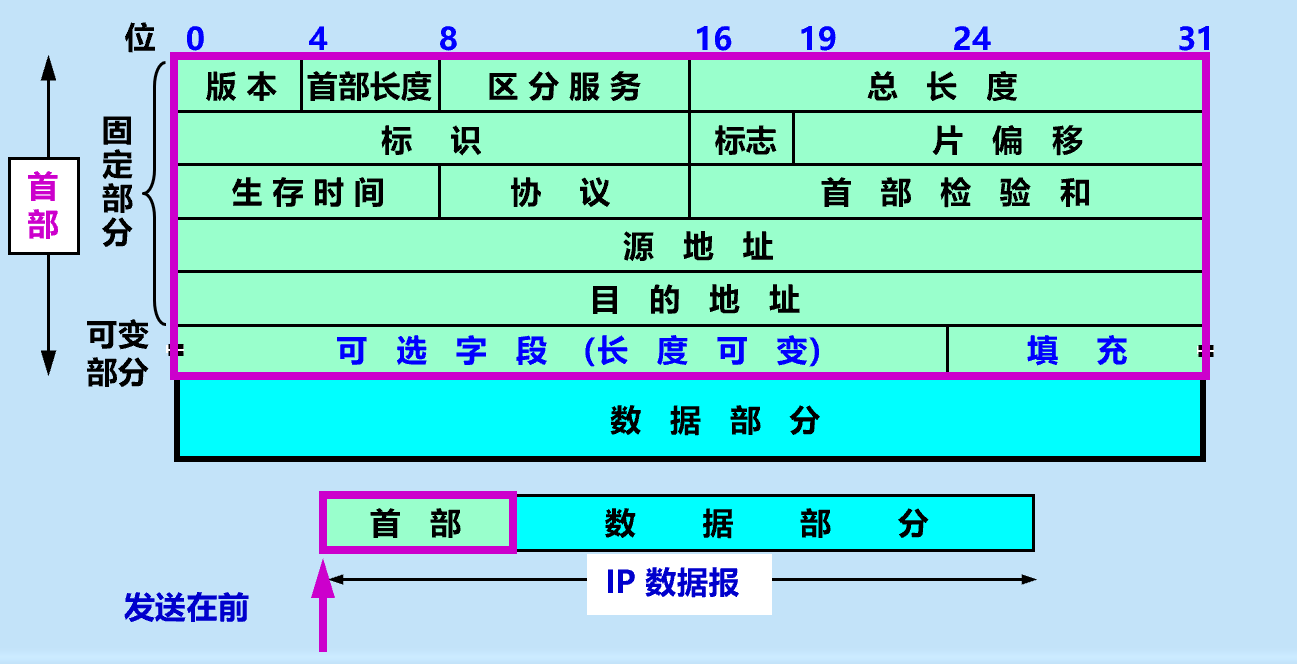 IP数据报